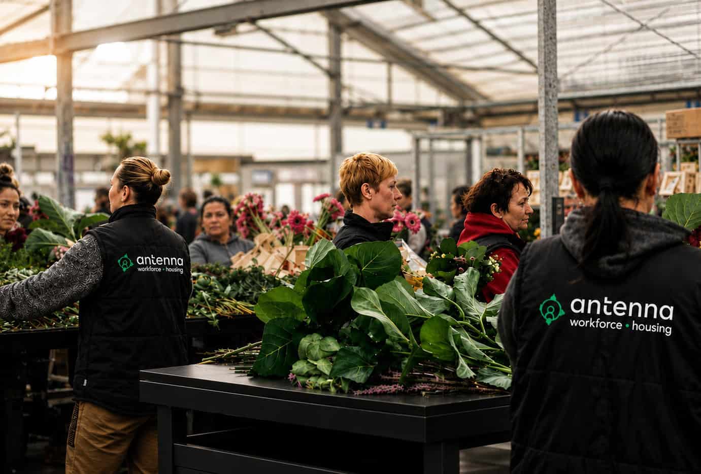 Antenna Recruitment medewerkers werken in een kas met bloemen en planten.