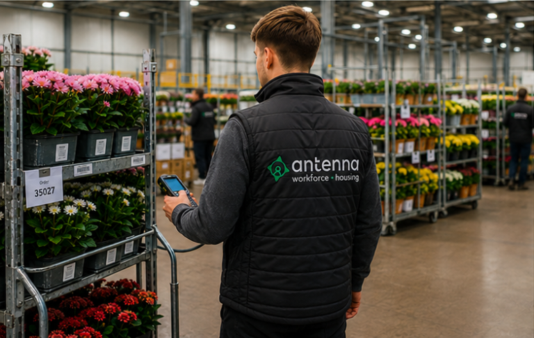 Sollicitatie proces via Antenna Groep